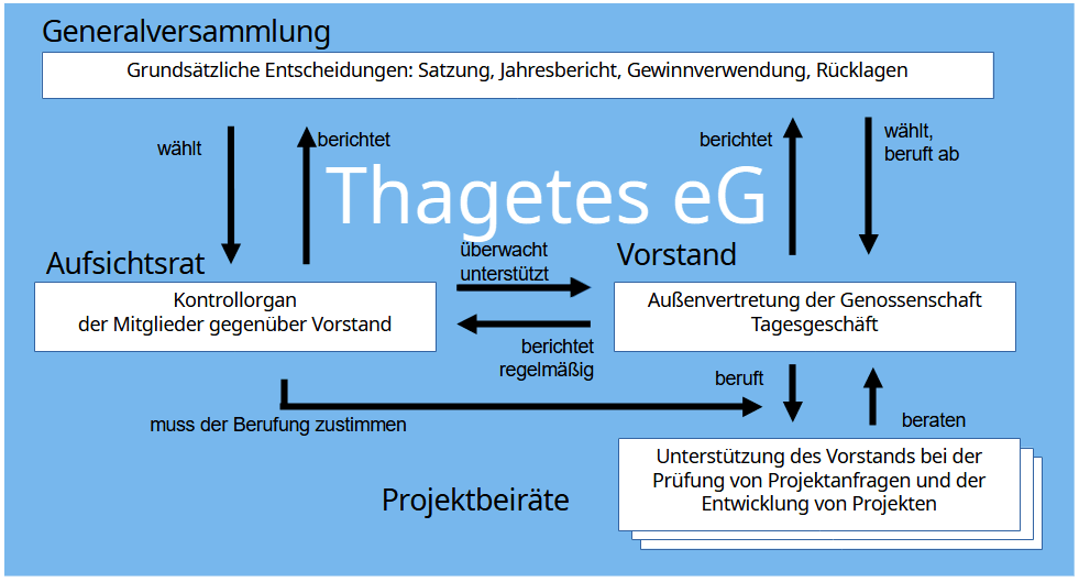 Struktur der Thagetes eG